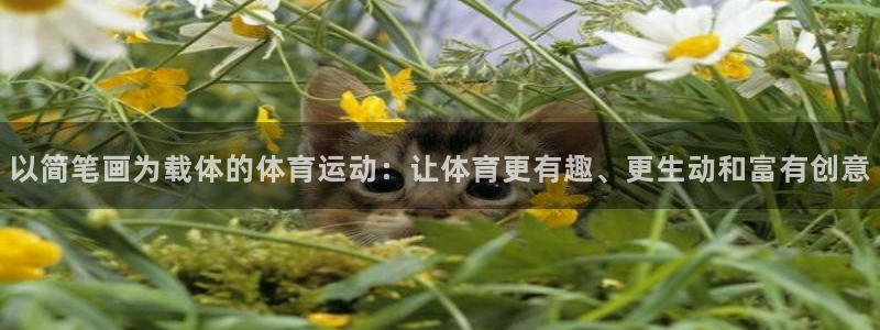 ug环球官网