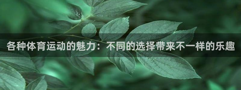 ug环球官网登录入口：各种体育运动的魅力：不同的选择带来不一样的乐趣