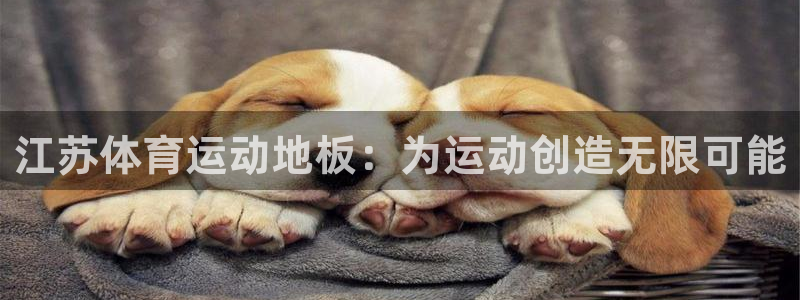 ug环球官网注册：江苏体育运动地板：为运动创造无限可能