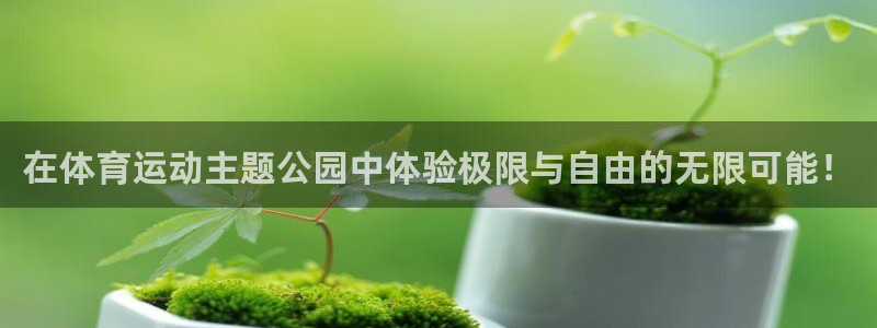 ug环球官网注册：在体育运动主题公园中体验极限与自由的无限可能！